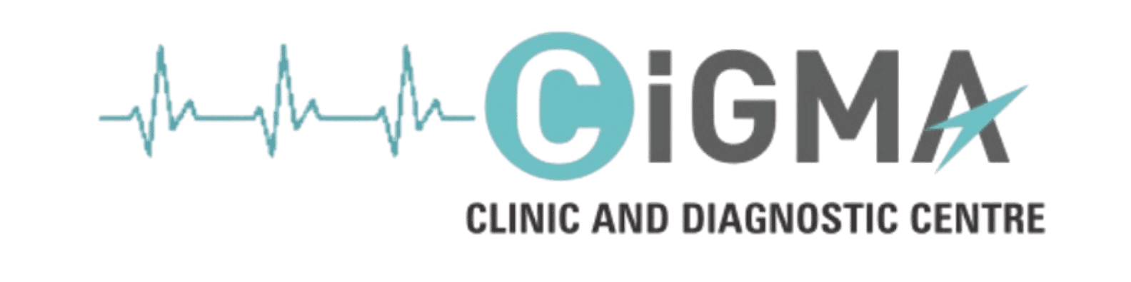 Partner Logo 4